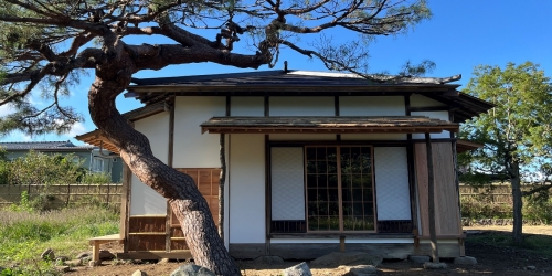 大條家茶室此君亭